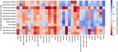 Acid-active proteases to optimize dietary protein digestibility: a step towards sustainable nutrition